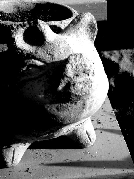 Stone Pig