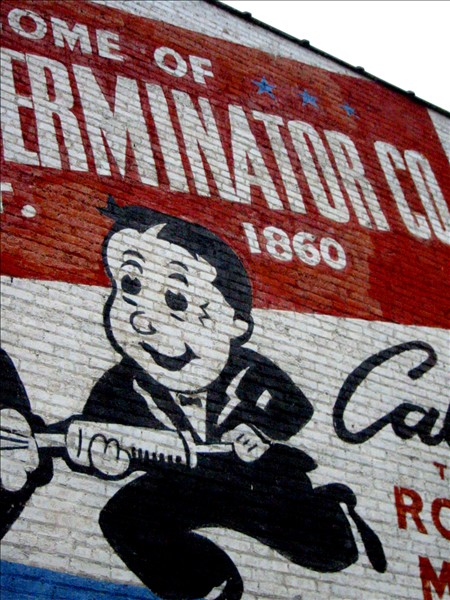 Photo of a wall mural for a  exterminator company in Chicago.