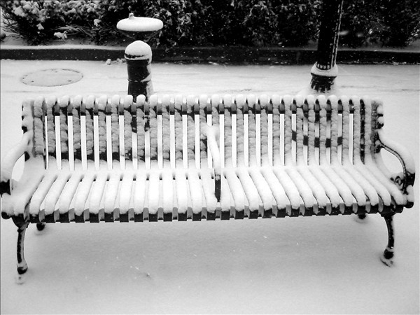 Shot with my Canon S200.