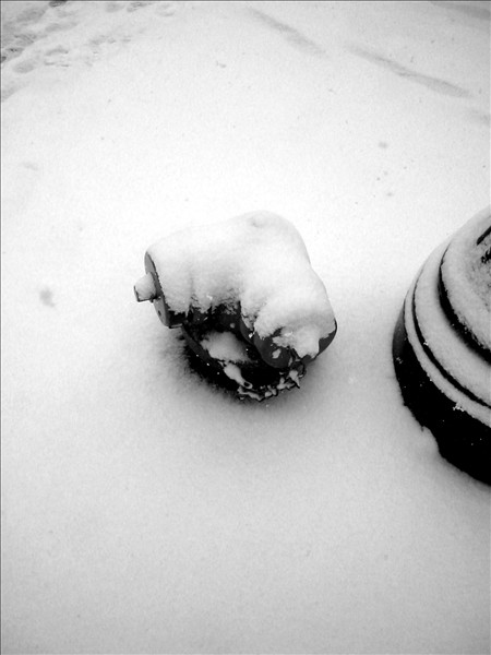 Shot with my Canon S200.