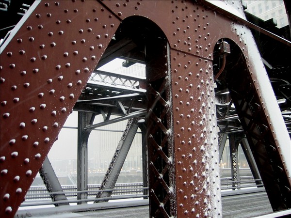 Shot with my Canon S200.