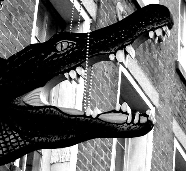 A sign outside a tourist shop in New Orleans. Shot with my Canon S200.