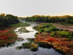 Mist Off the Dam