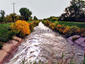 Day 39 - Fall on the Canal