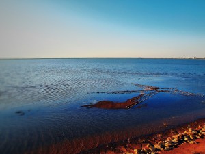 Day 54: The Lake Is Back