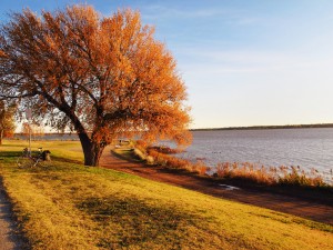 Day 55: A Peaceful Morning