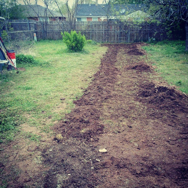 Color photo of Grace's new sewer line all filled in.