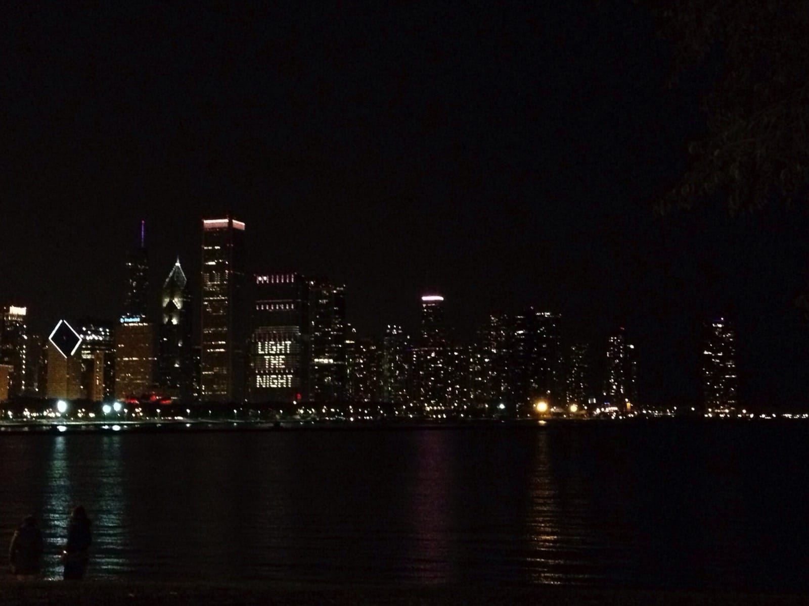 Color photo of the Chicago skyline at night.