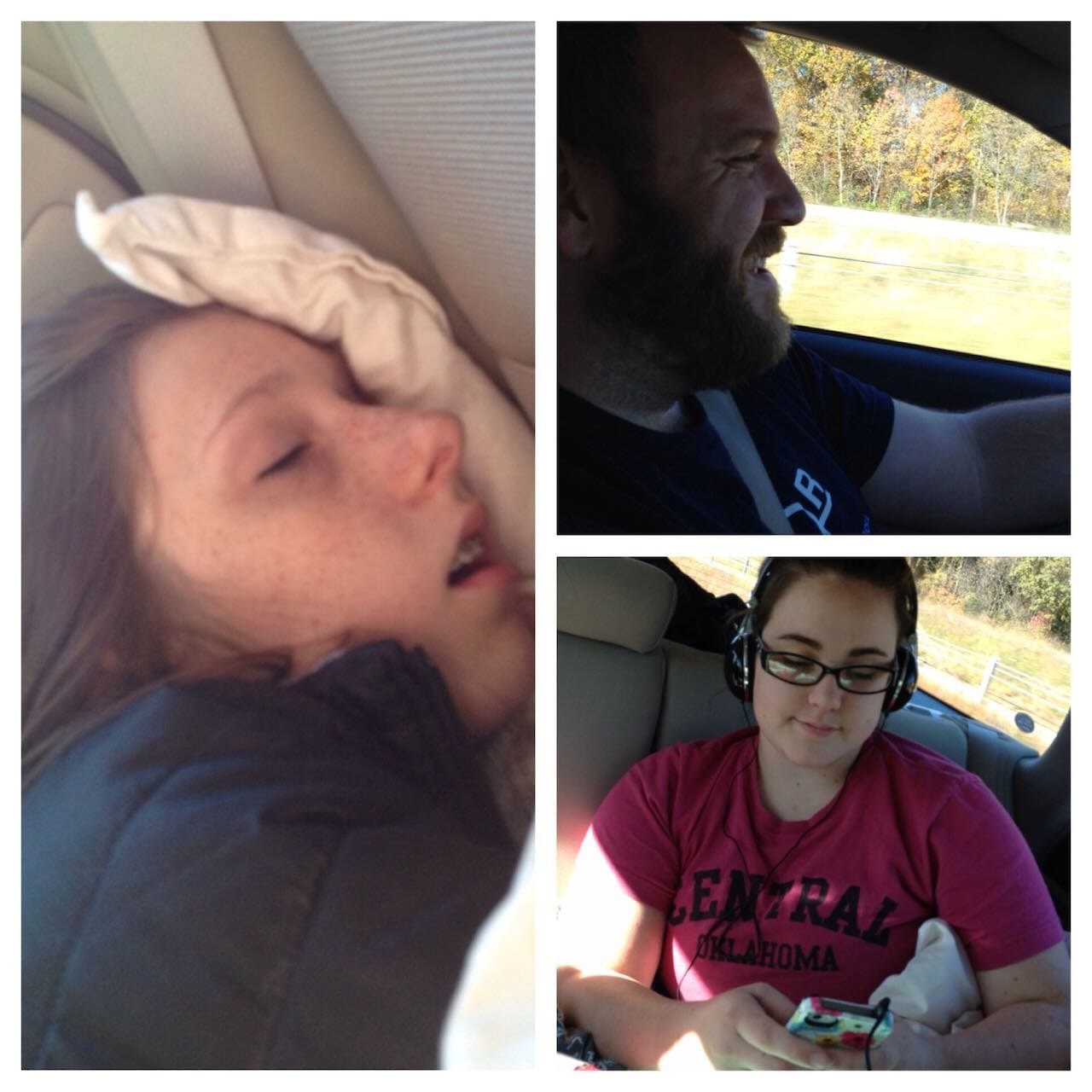 Color collage of photos from inside the car on the way to Chicago.