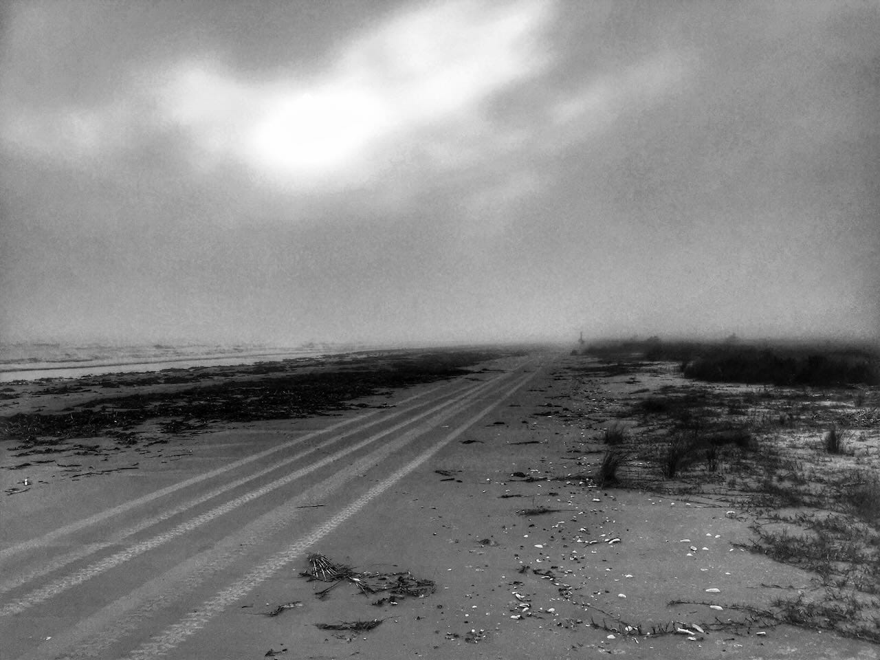 B&W photo of a beach on foggy day.