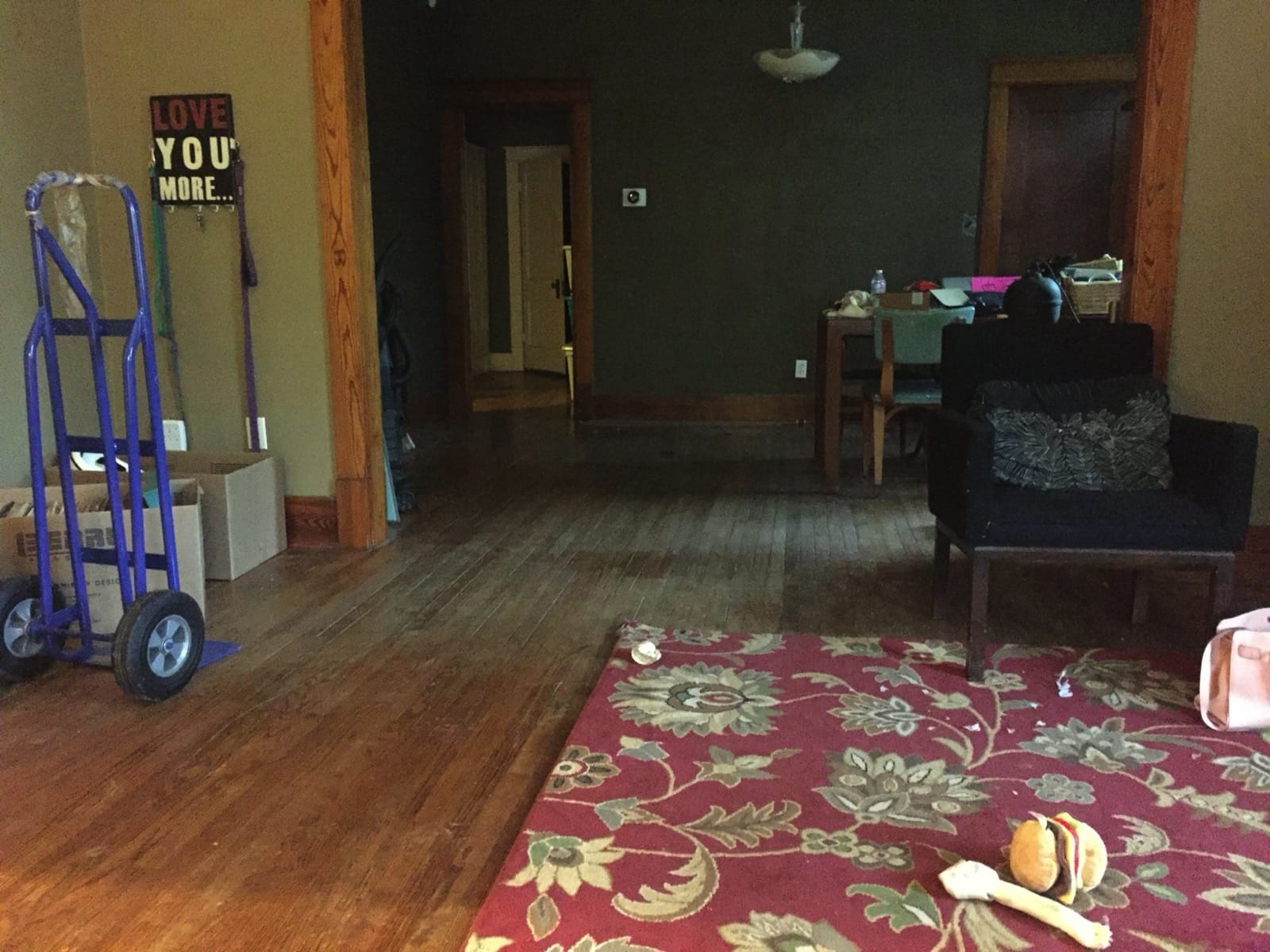 Color photo of our empty house.