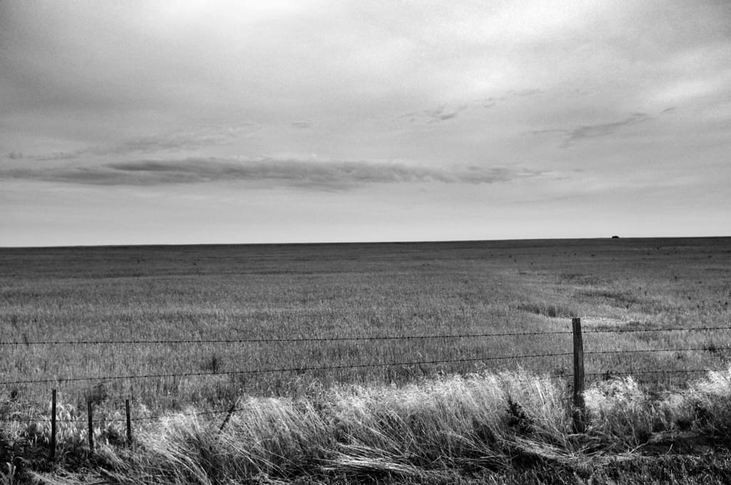 B&W photo of a wheat field on a hazy day.