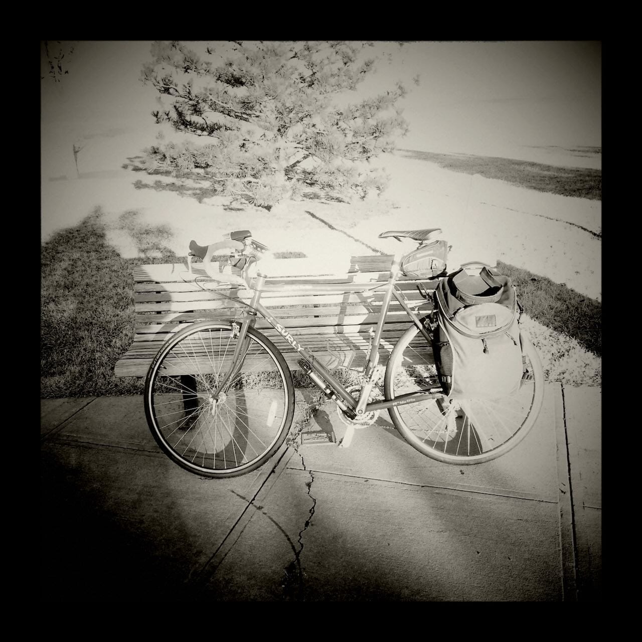 B&W photo my bicycle leaning against a bench.