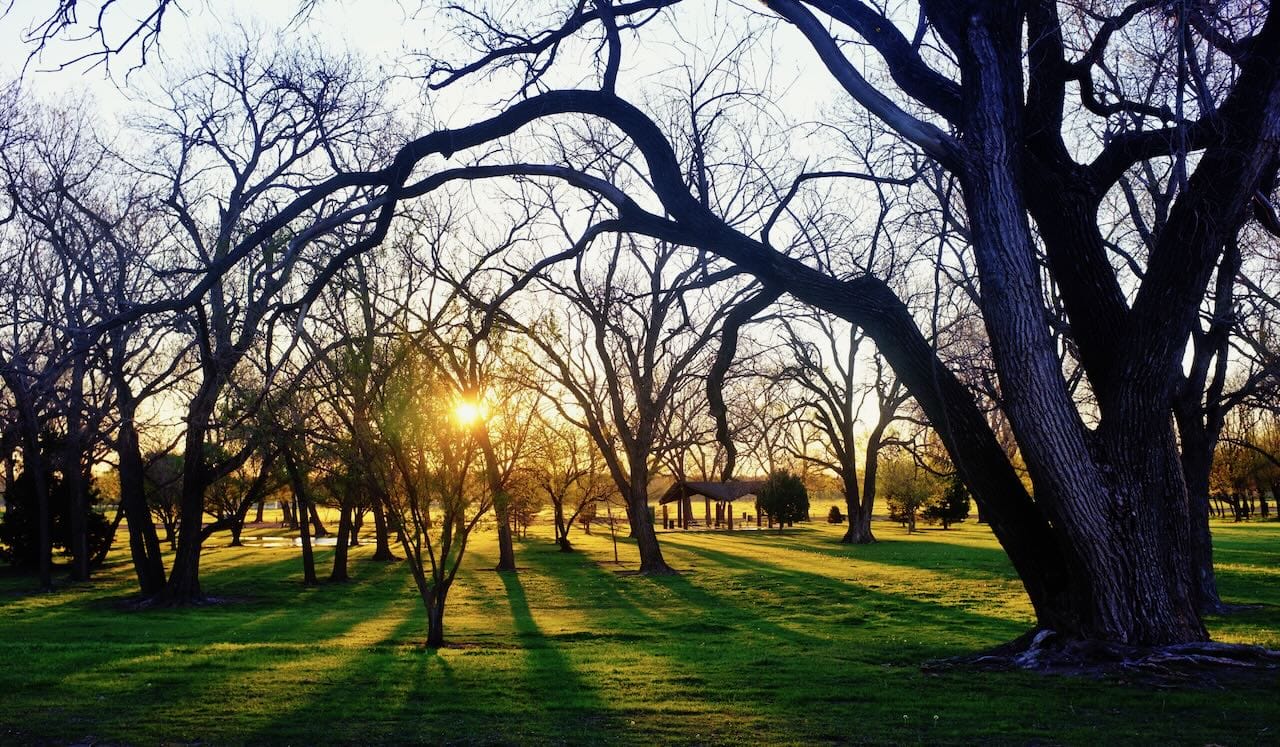 Color photo of a sunrise.
